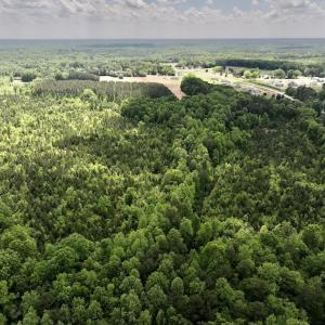 Photo #10 of SOLD property in Off Buck Rd, Middlesex, NC 98.0 acres