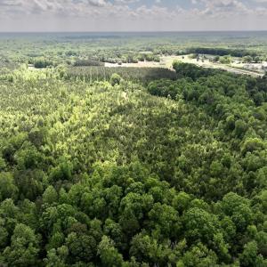Photo #12 of SOLD property in Off Buck Rd, Middlesex, NC 98.0 acres