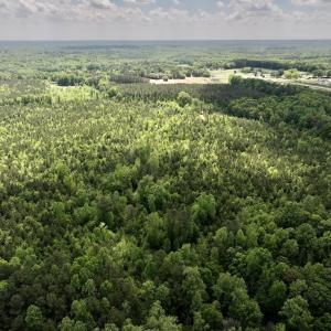 Photo #14 of SOLD property in Off Buck Rd, Middlesex, NC 98.0 acres