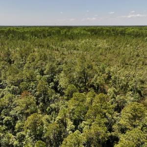 Photo #11 of SOLD property in Off George Road, Havelock, NC 10.4 acres