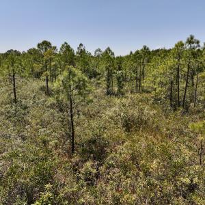 Photo #19 of SOLD property in Off George Road, Havelock, NC 10.4 acres