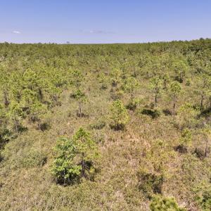 Photo #6 of Off George Road, Havelock, NC 10.4 acres