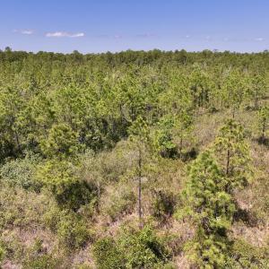 Photo #9 of Off George Road, Havelock, NC 10.4 acres