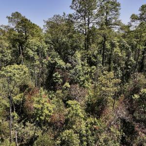 Photo #21 of SOLD property in Off George Road, Havelock, NC 10.4 acres