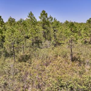 Photo #22 of SOLD property in Off George Road, Havelock, NC 10.4 acres