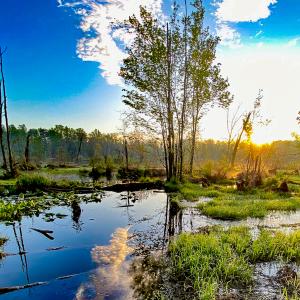 Photo #3 of SOLD property in 1094 Gardners Road, Mineral, VA 23.7 acres