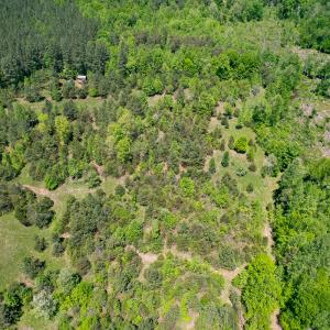 Photo #4 of SOLD property in 1094 Gardners Road, Mineral, VA 23.7 acres