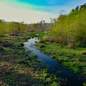 Photo #6 of SOLD property in 1094 Gardners Road, Mineral, VA 23.7 acres