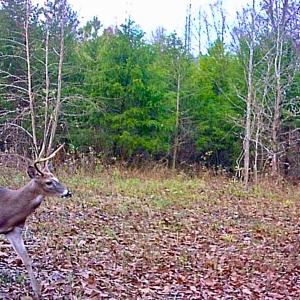 Photo #12 of SOLD property in 1094 Gardners Road, Mineral, VA 23.7 acres