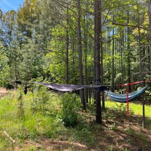 Photo #16 of SOLD property in 1094 Gardners Road, Mineral, VA 23.7 acres