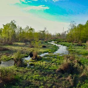 Photo #21 of SOLD property in 1094 Gardners Road, Mineral, VA 23.7 acres