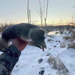 Photo #22 of SOLD property in 1094 Gardners Road, Mineral, VA 23.7 acres