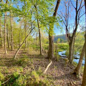 Photo #23 of SOLD property in 1094 Gardners Road, Mineral, VA 23.7 acres