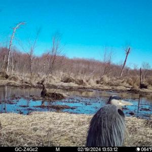 Photo #24 of SOLD property in 1094 Gardners Road, Mineral, VA 23.7 acres