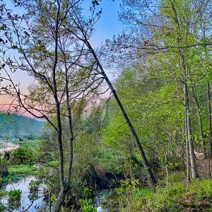 Photo #25 of SOLD property in 1094 Gardners Road, Mineral, VA 23.7 acres