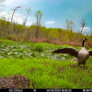 Photo #26 of SOLD property in 1094 Gardners Road, Mineral, VA 23.7 acres