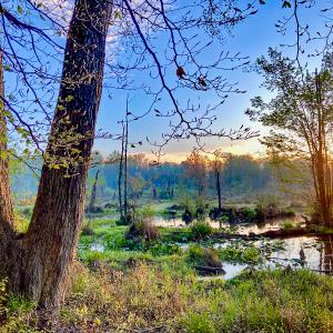 Photo #27 of SOLD property in 1094 Gardners Road, Mineral, VA 23.7 acres