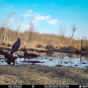 Photo #28 of SOLD property in 1094 Gardners Road, Mineral, VA 23.7 acres