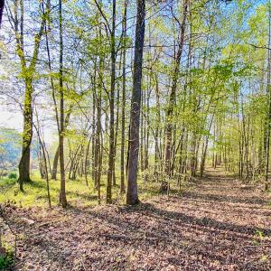 Photo #29 of SOLD property in 1094 Gardners Road, Mineral, VA 23.7 acres