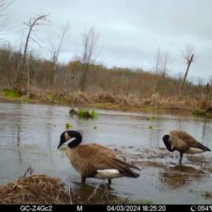 Photo #31 of SOLD property in 1094 Gardners Road, Mineral, VA 23.7 acres