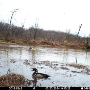 Photo #33 of SOLD property in 1094 Gardners Road, Mineral, VA 23.7 acres