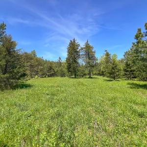 Photo #36 of SOLD property in 1094 Gardners Road, Mineral, VA 23.7 acres