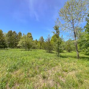 Photo #43 of SOLD property in 1094 Gardners Road, Mineral, VA 23.7 acres