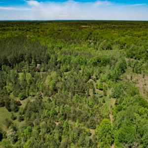 Photo #45 of SOLD property in 1094 Gardners Road, Mineral, VA 23.7 acres