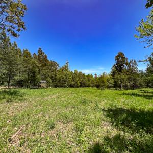 Photo #46 of SOLD property in 1094 Gardners Road, Mineral, VA 23.7 acres