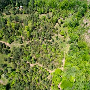 Photo #47 of SOLD property in 1094 Gardners Road, Mineral, VA 23.7 acres