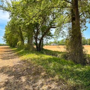 Photo #2 of Off West Rd, Chesapeake, VA 36.0 acres
