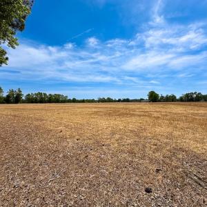 Photo #5 of Off West Rd, Chesapeake, VA 36.0 acres