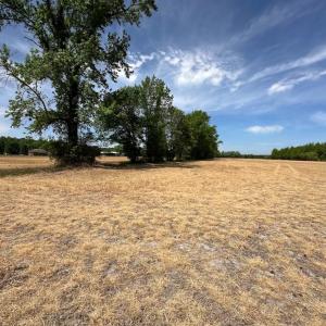 Photo #6 of Off West Rd, Chesapeake, VA 36.0 acres