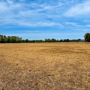 Photo #8 of Off West Rd, Chesapeake, VA 36.0 acres