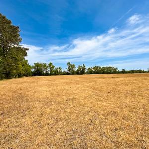 Photo #9 of Off West Rd, Chesapeake, VA 36.0 acres