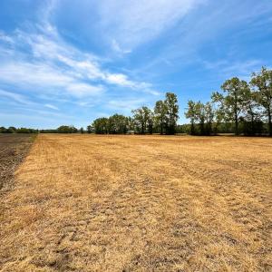 Photo #12 of Off West Rd, Chesapeake, VA 36.0 acres
