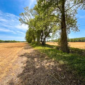 Photo #15 of Off West Rd, Chesapeake, VA 36.0 acres