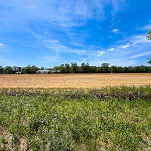 Photo #16 of Off West Rd, Chesapeake, VA 36.0 acres