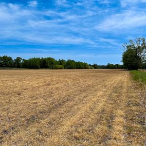 Photo #19 of Off West Rd, Chesapeake, VA 36.0 acres