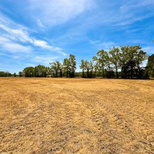 Photo #23 of Off West Rd, Chesapeake, VA 36.0 acres
