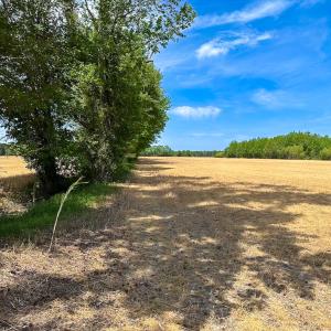 Photo #26 of Off West Rd, Chesapeake, VA 36.0 acres