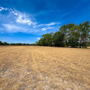 Photo #28 of Off West Rd, Chesapeake, VA 36.0 acres