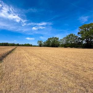 Photo #29 of Off West Rd, Chesapeake, VA 36.0 acres