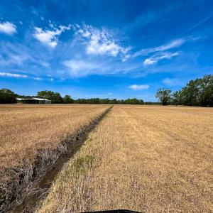 Photo #30 of Off West Rd, Chesapeake, VA 36.0 acres