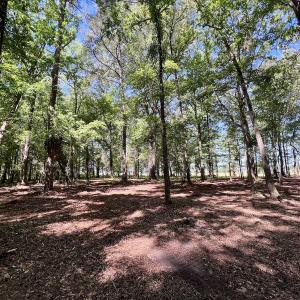 Photo #11 of Lot 70 Winfield Lane, Pinetown, NC 1.7 acres