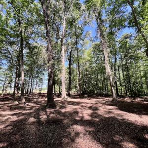 Photo #12 of Lot 70 Winfield Lane, Pinetown, NC 1.7 acres