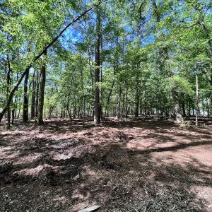 Photo #13 of Lot 70 Winfield Lane, Pinetown, NC 1.7 acres