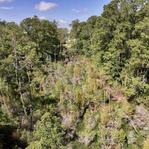 Photo #15 of Lot 70 Winfield Lane, Pinetown, NC 1.7 acres