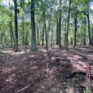 Photo #19 of Lot 70 Winfield Lane, Pinetown, NC 1.7 acres
