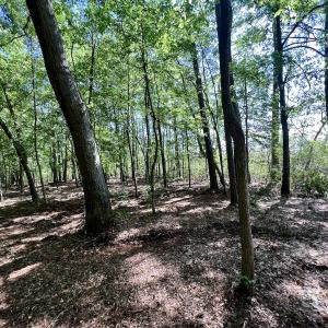 Photo #21 of Lot 70 Winfield Lane, Pinetown, NC 1.7 acres